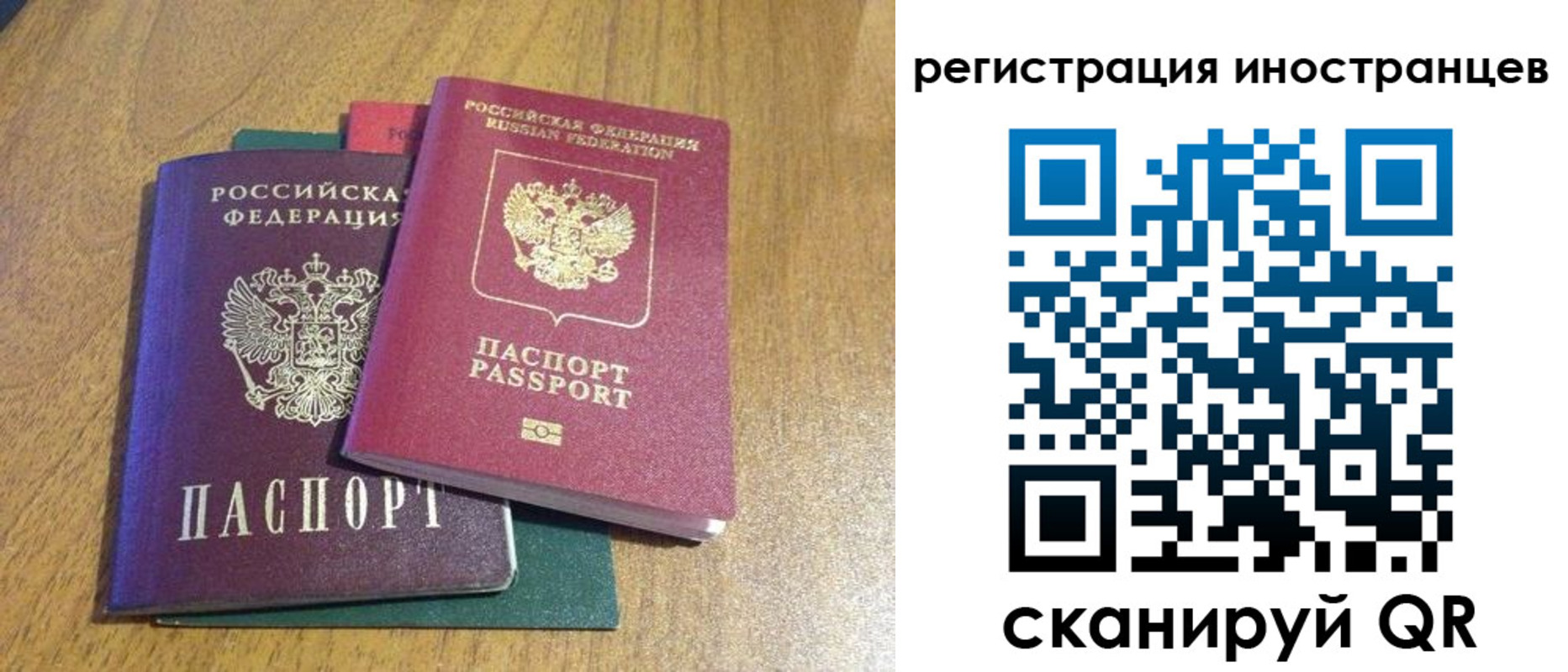 временная регистрация поиск в Мордовии